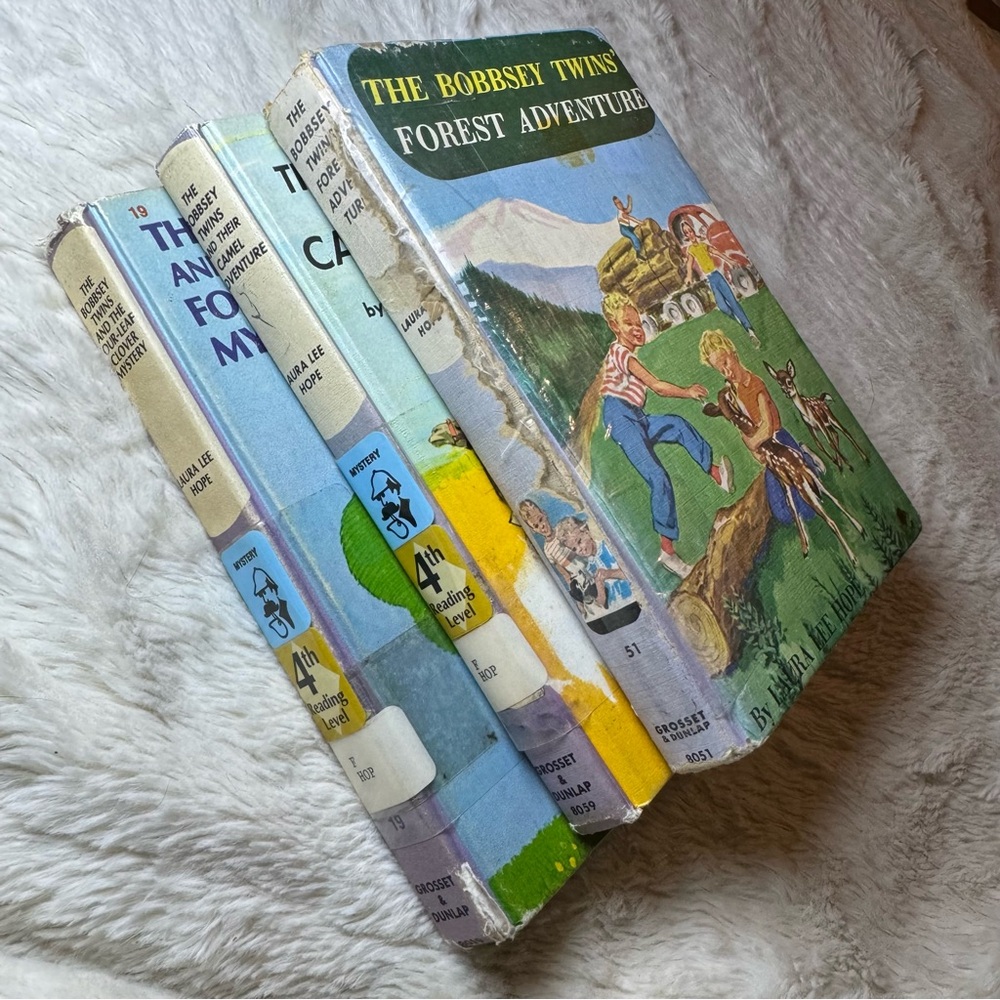 Vintage Children's Book Set Bobbsey Twins 3 Books - Multicolor
